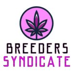 Breeders Syndicate Podcast